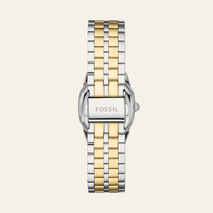 Fossil Harlow