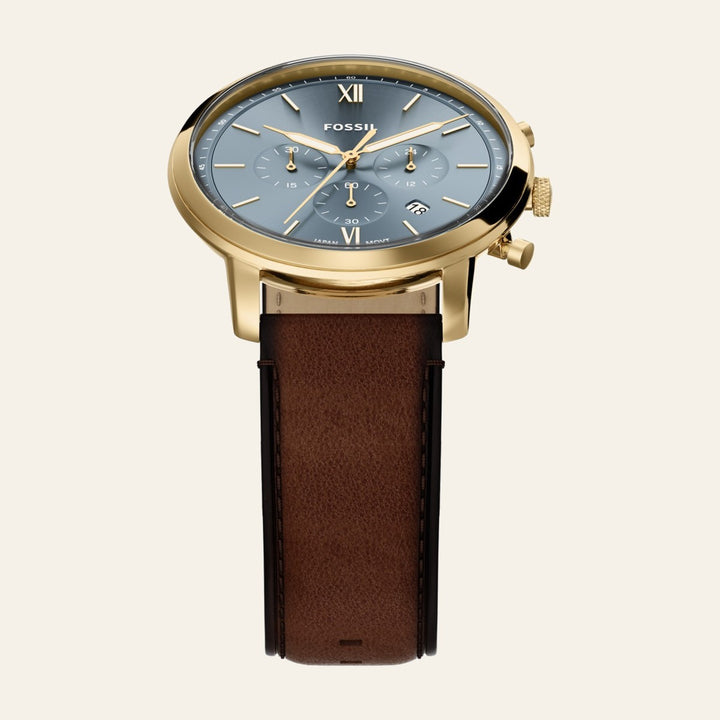 Fossil Neutra