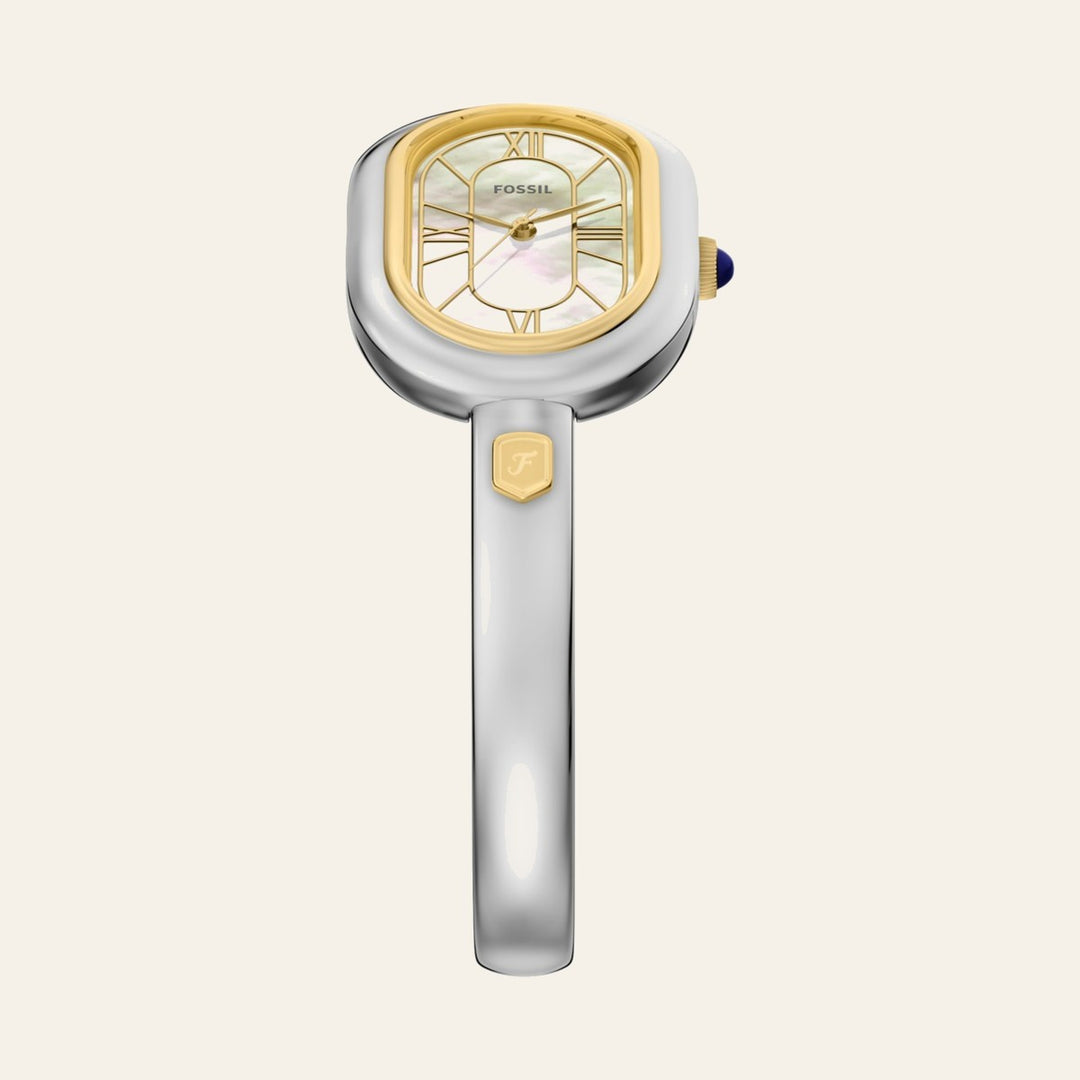 Fossil Sloan