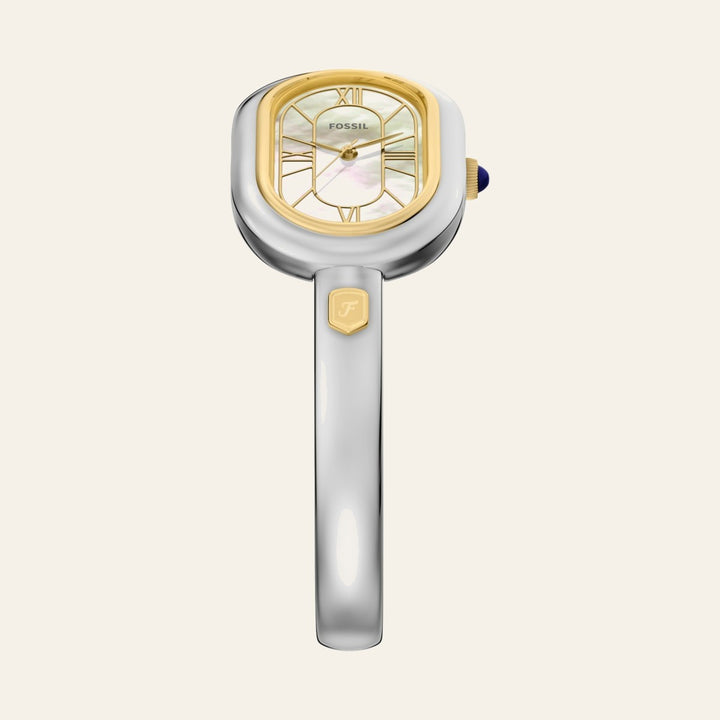 Fossil Sloan