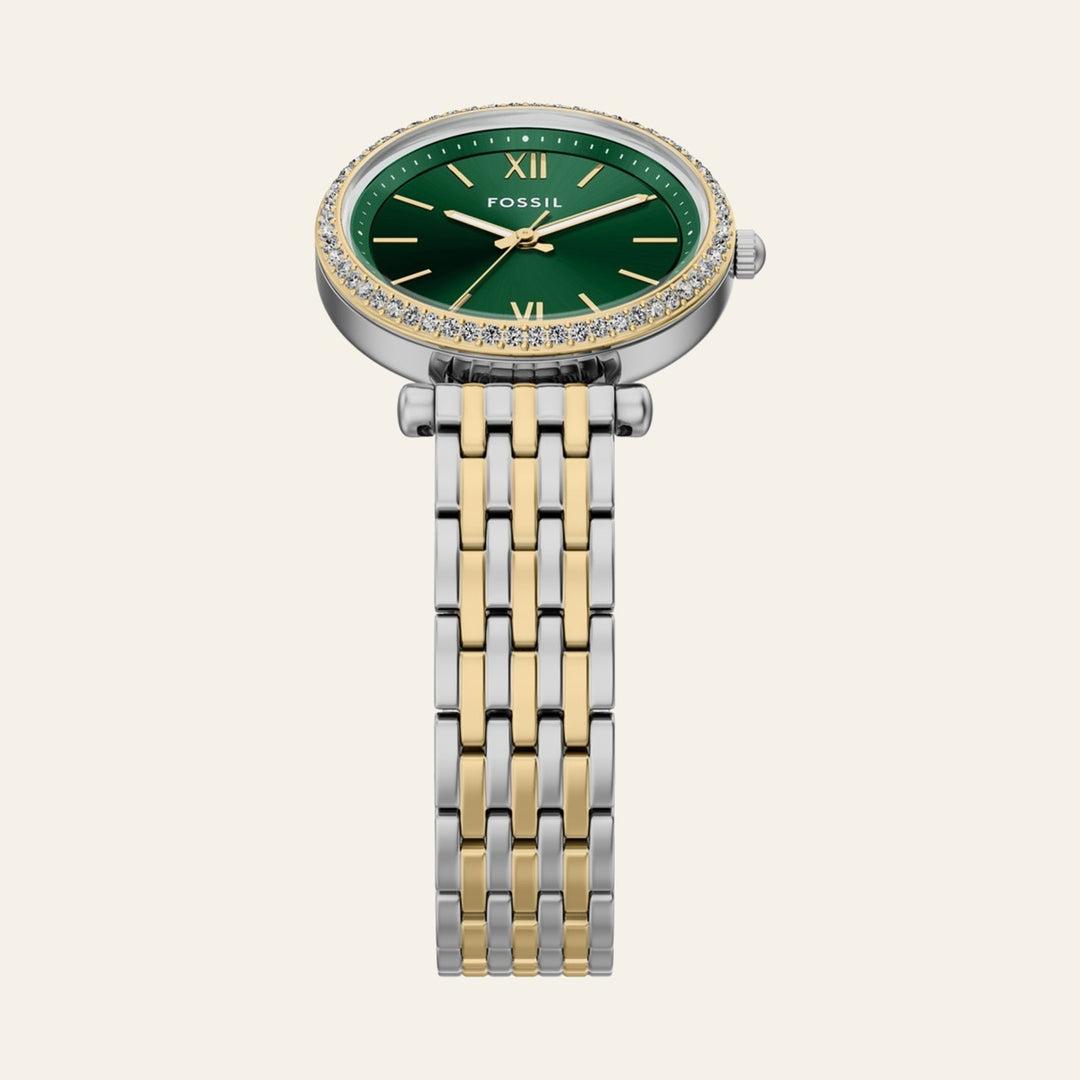 Fossil Carlie