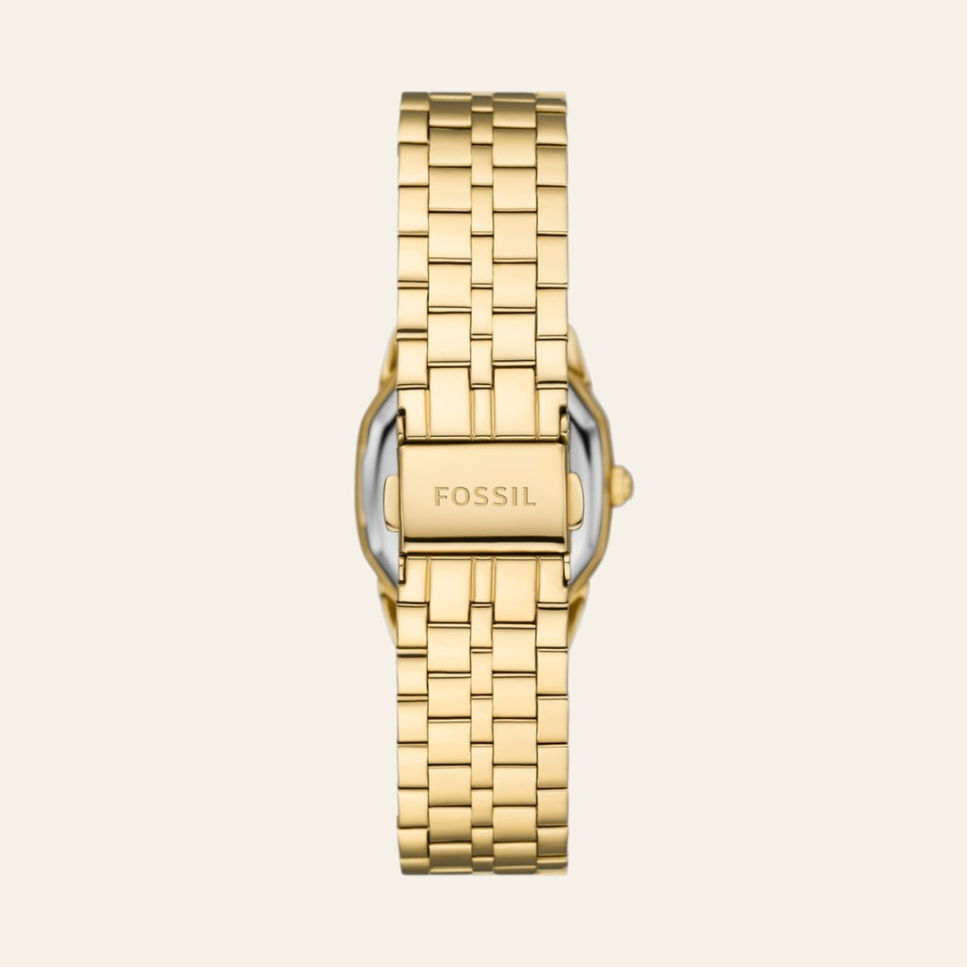 Fossil Harlow