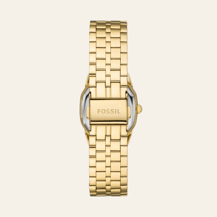 Fossil Harlow