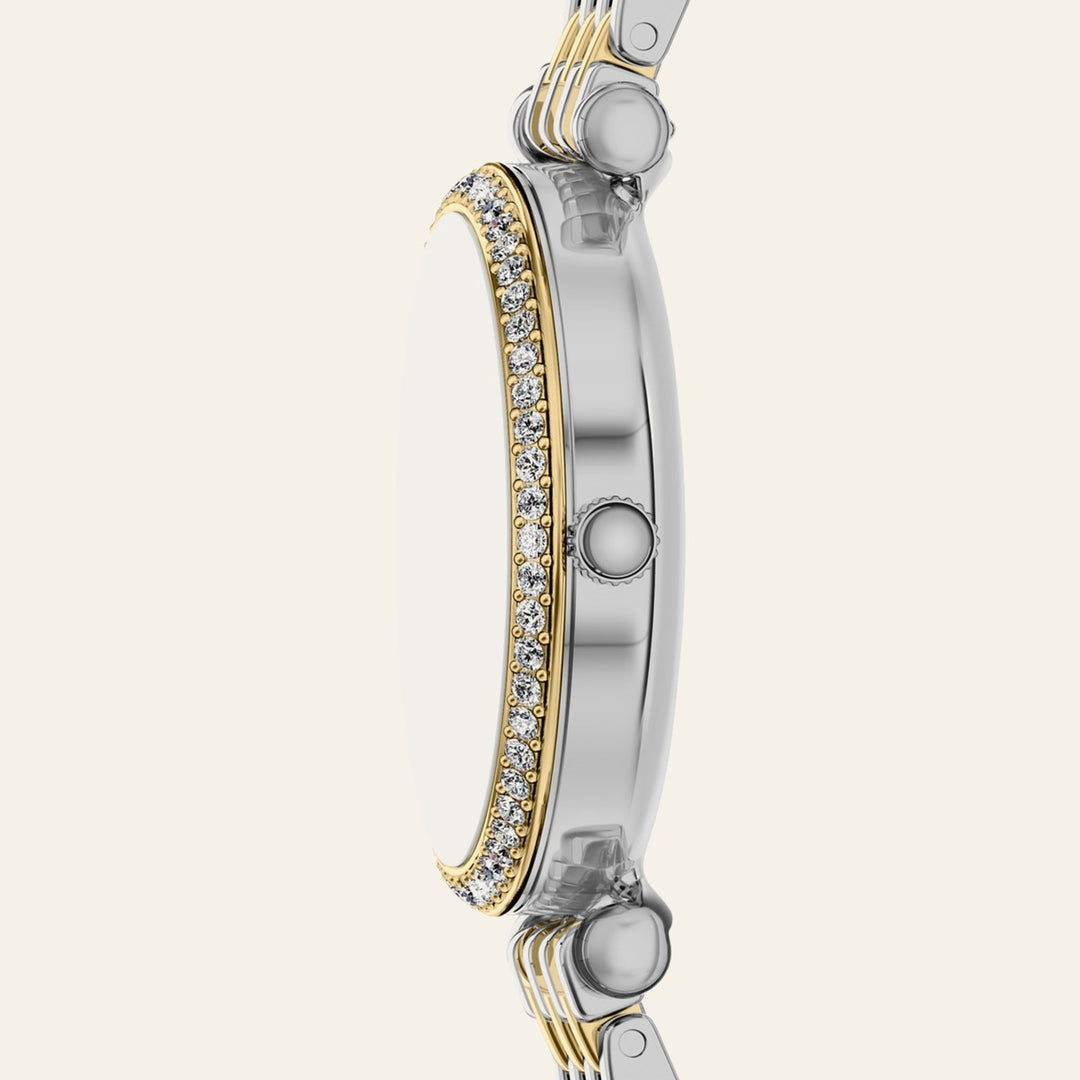 Fossil Carlie