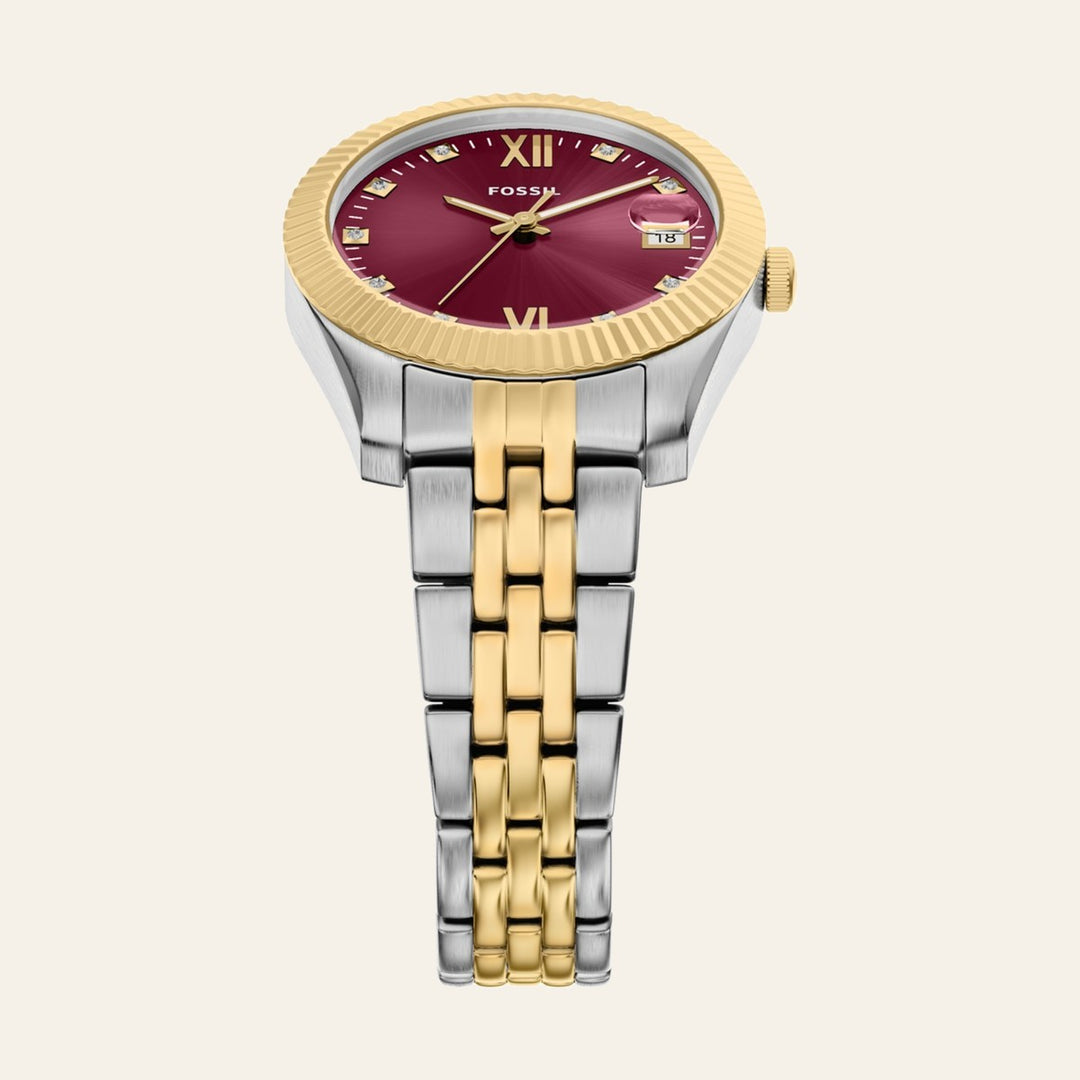 Fossil Scarlette