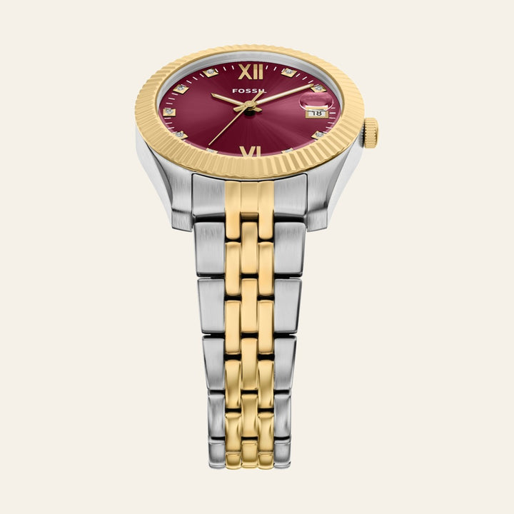Fossil Scarlette
