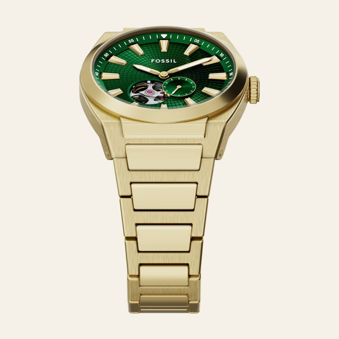 Fossil Everett
