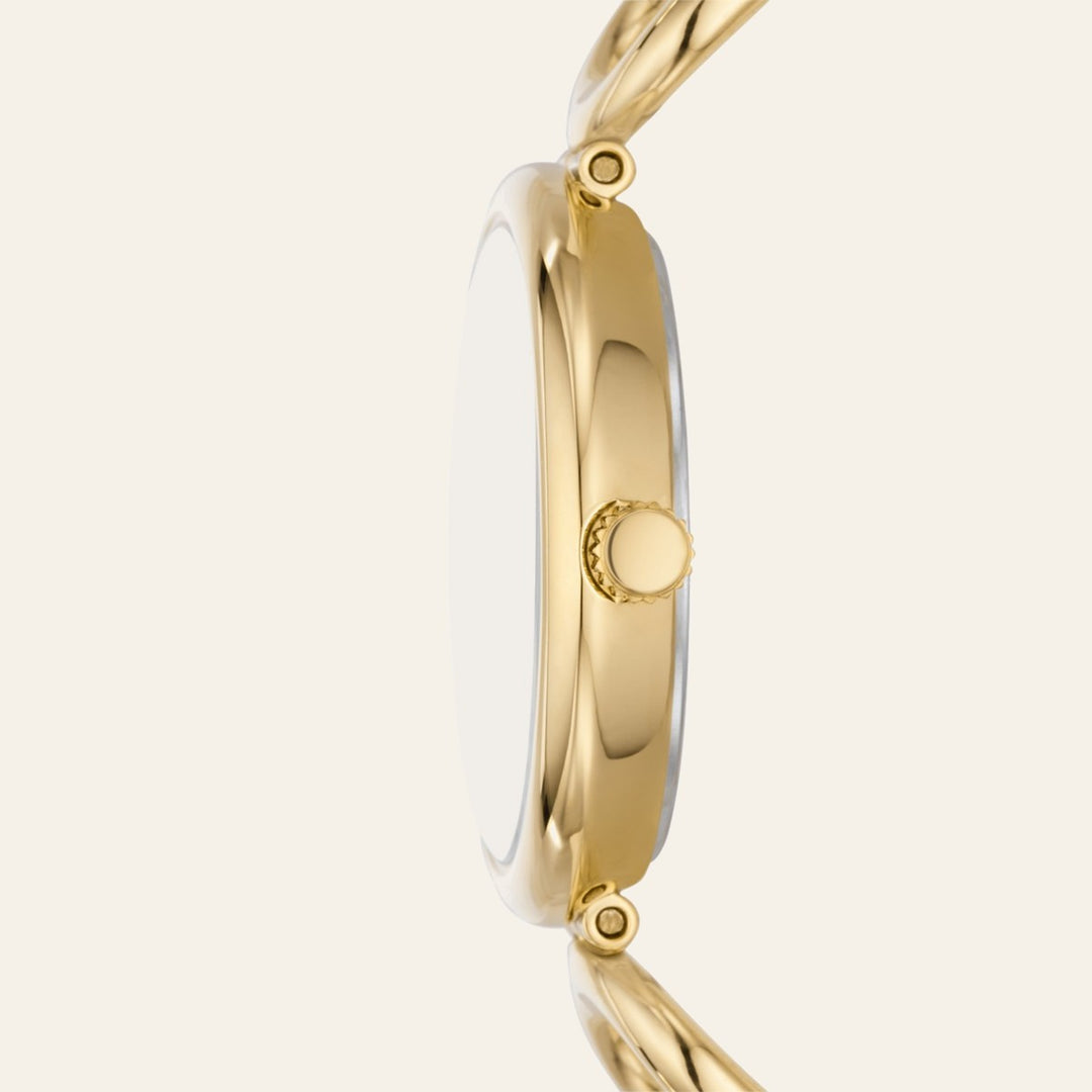Fossil Carlie