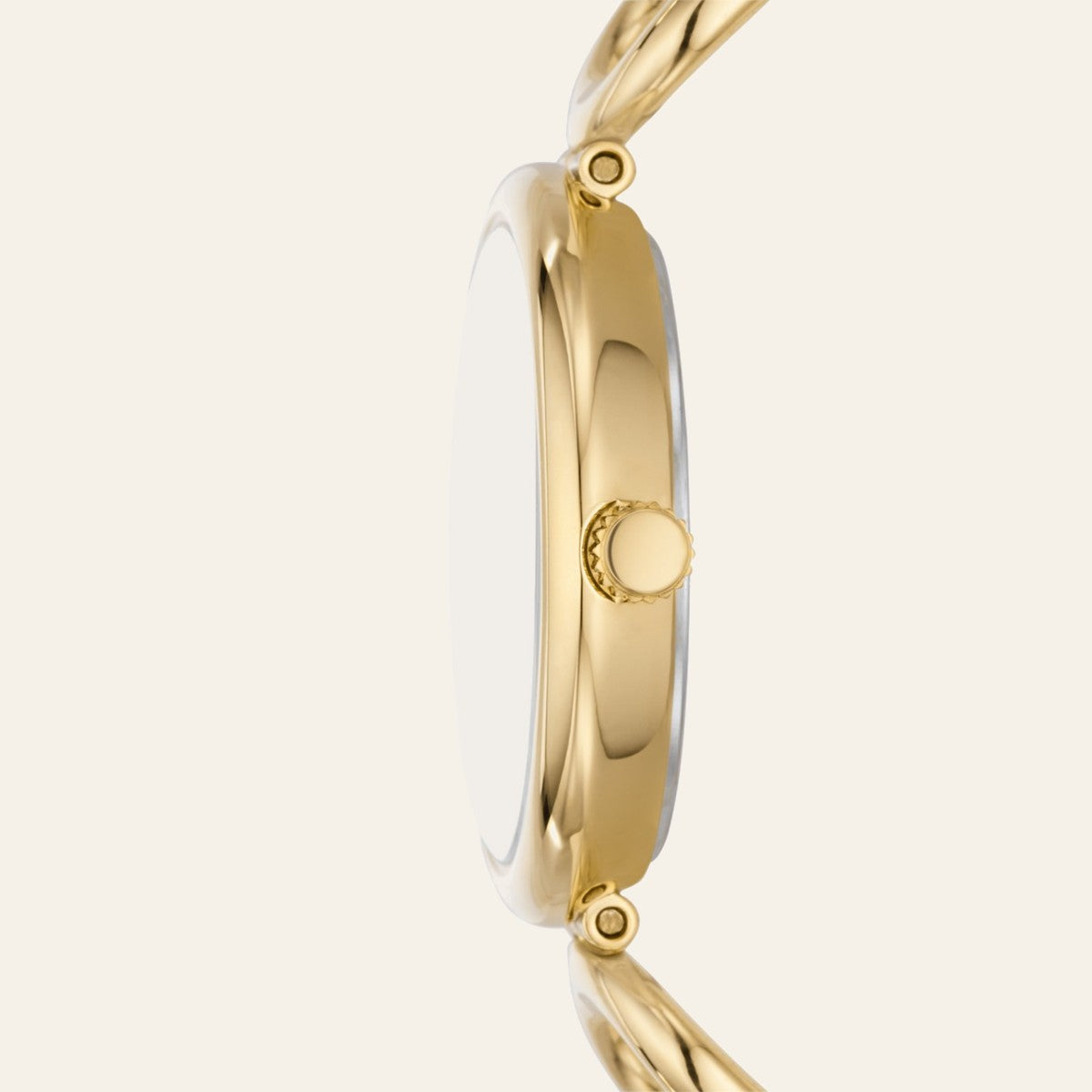 Fossil Carlie — pamja 4 | Shkreli Watches