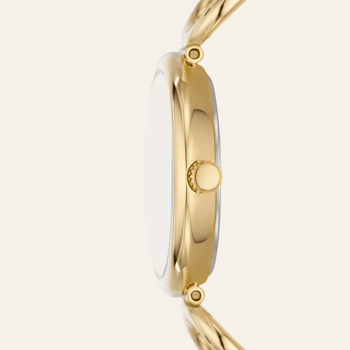 Fossil Carlie