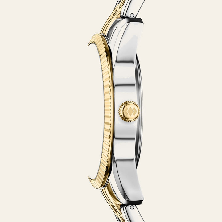 Fossil Scarlette