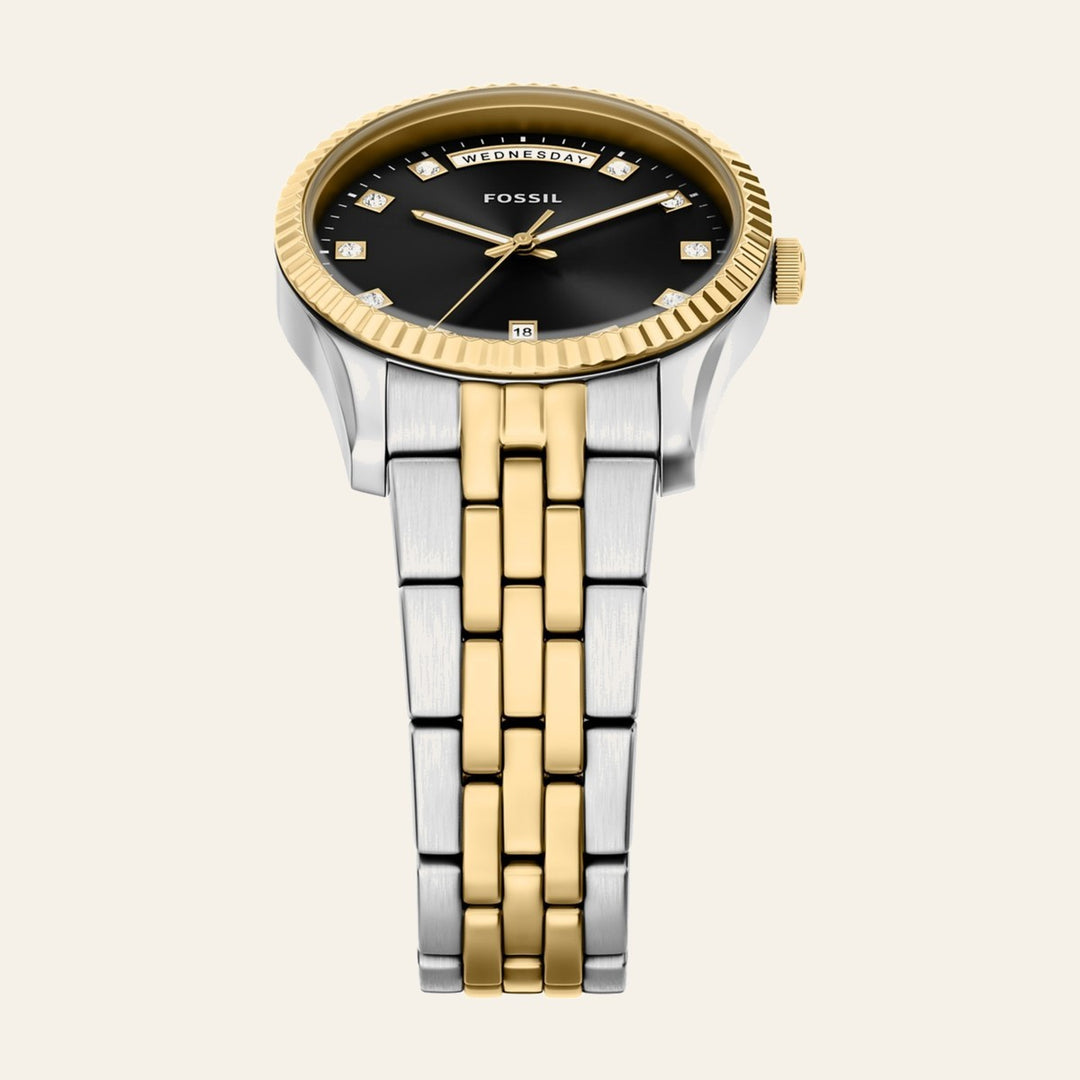 Fossil Scarlette
