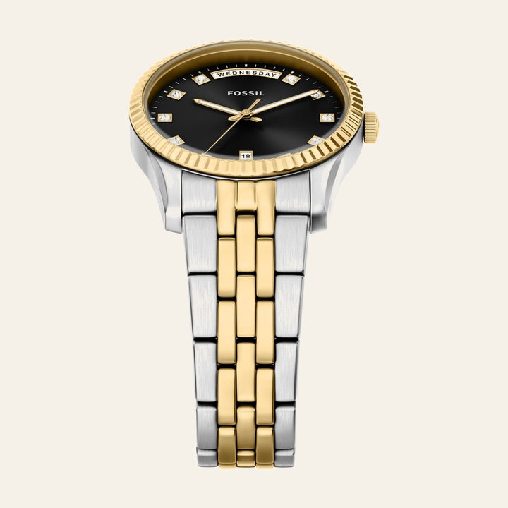 Fossil Scarlette
