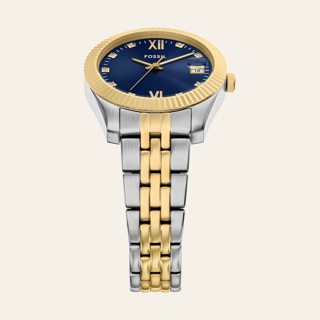 Fossil Scarlette
