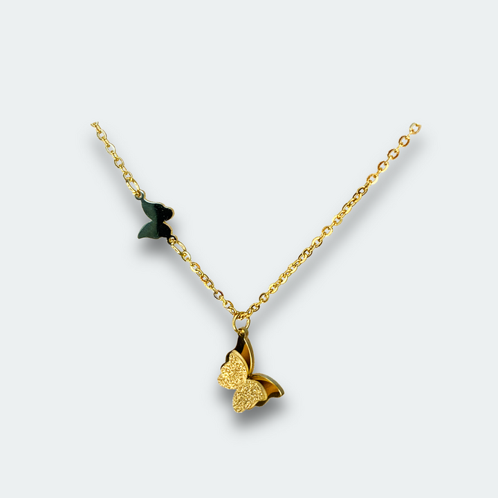 Gjerdan papillon